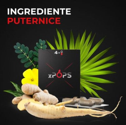 X‑Pops 4 caps – Natural Male Libido & Endurance Support