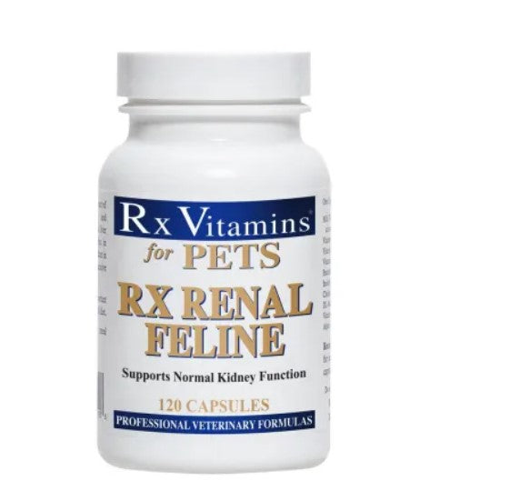 RX Renal Feline 120 Capsules – Supports Healthy Kidney Function in Cats