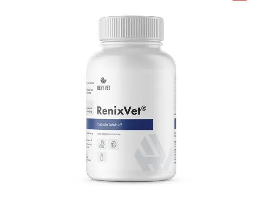 RenixVet 60 capsules – Supports Renal Health in Cats & Dogs