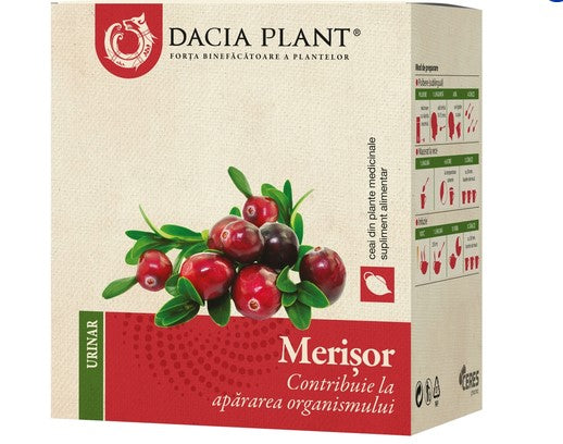 3x Thé de canneberge, plante Dacia