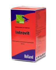 Introvit 100 ml – Multivitamin Injection