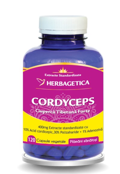 Cordyceps, 120 capsules – a dietary supplement that helps support the health of the liver, kidneys, and lungs