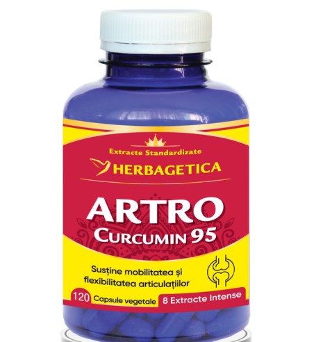 Artro Curcumin 95, 120 capsules – supports joint mobility and flexibility