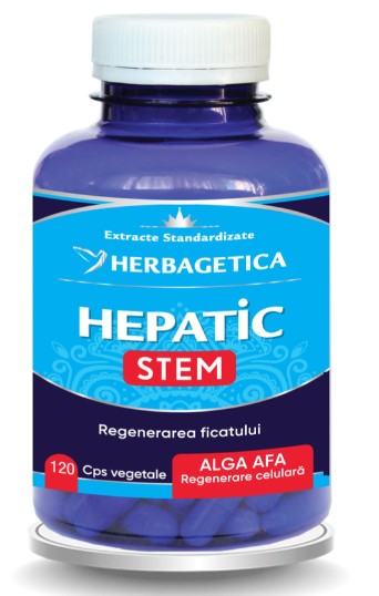 Hepatic+ Stem, 120 capsules – contributes to normal liver function and the maintenance of liver health