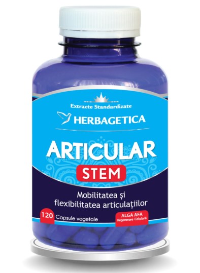 Articular STEM, 120 vegetable capsules – contributes to maintaining joint mobility and flexibility