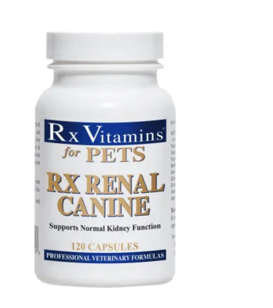 RX Renal Canine 120 Capsules – Supports Kidney Function & Renal Health in Dogs